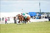 UKPA NC SAT_2523